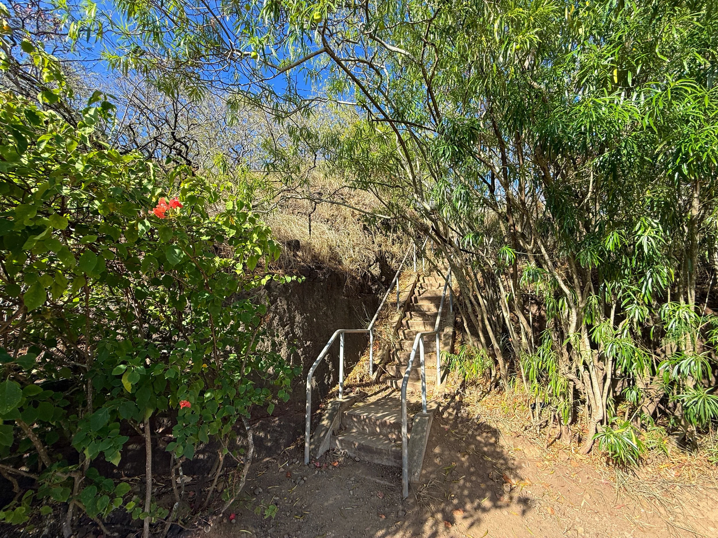 Hiking the Back Lanikai Pillbox Trail (Kaʻiwa Ridge), Oʻahu